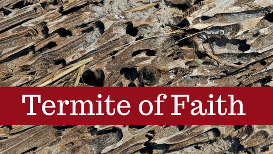 The Termite of Faith
