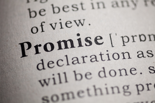 The Provider of Promise